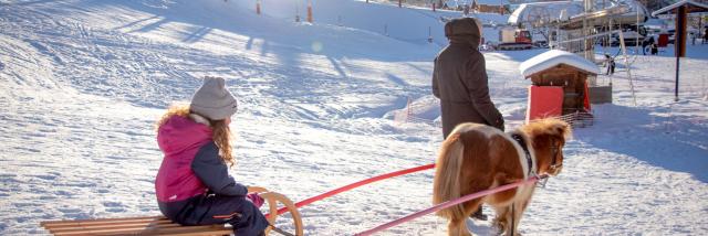 Descente en poney luge