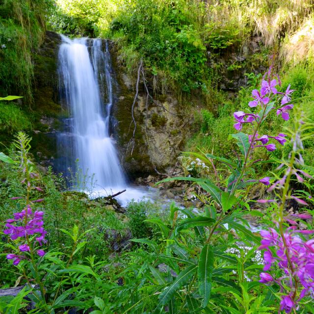 cascade-fraicheur-valdarly.jpg