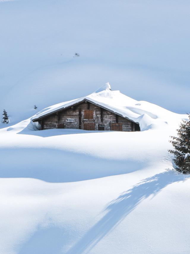 col-des-aravis-chalets-du-cure-sarah-conte-ses-aventures-90.jpg