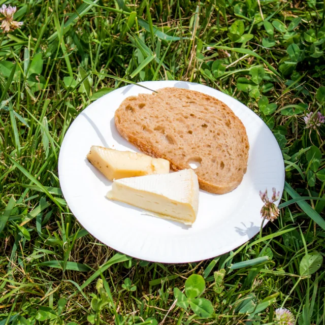 Balade Gourmande - Assiette de fromages