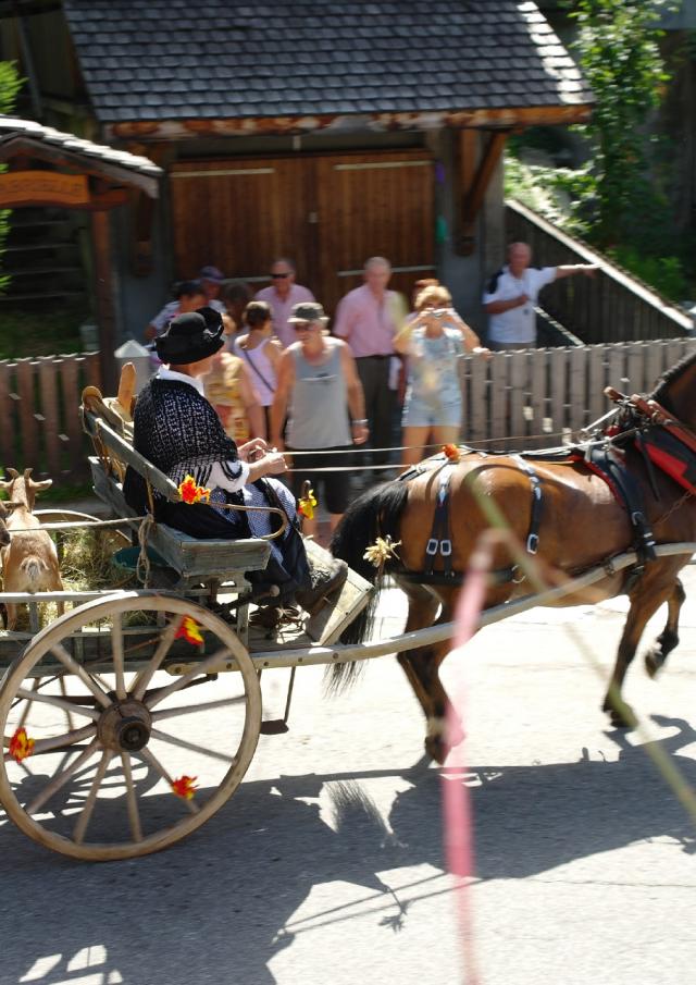 20120824 Fete Attelage 008 02