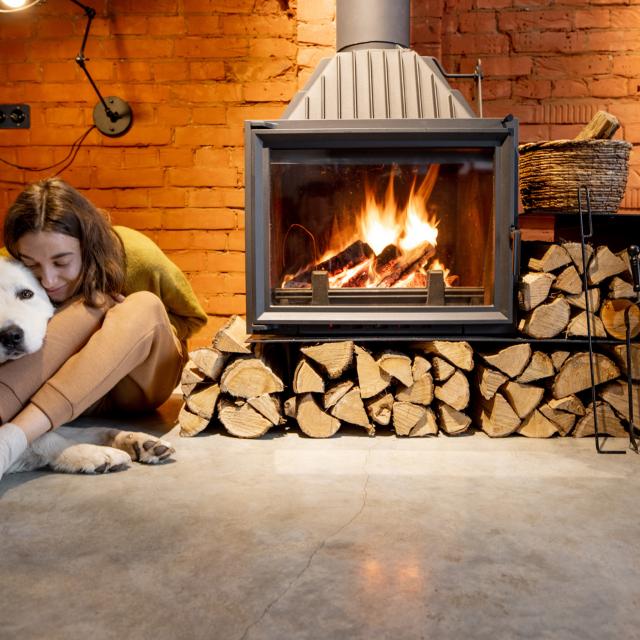 Hébergement qui accepte les chiens dans le Val d'Arly