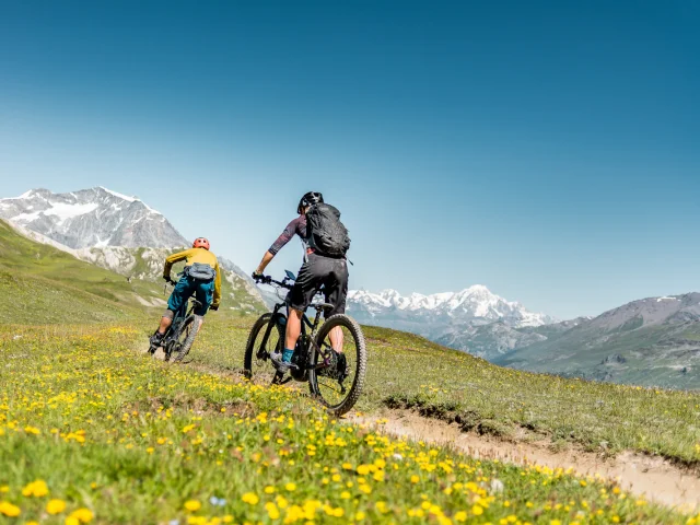 bike park; montagne; été; vélos