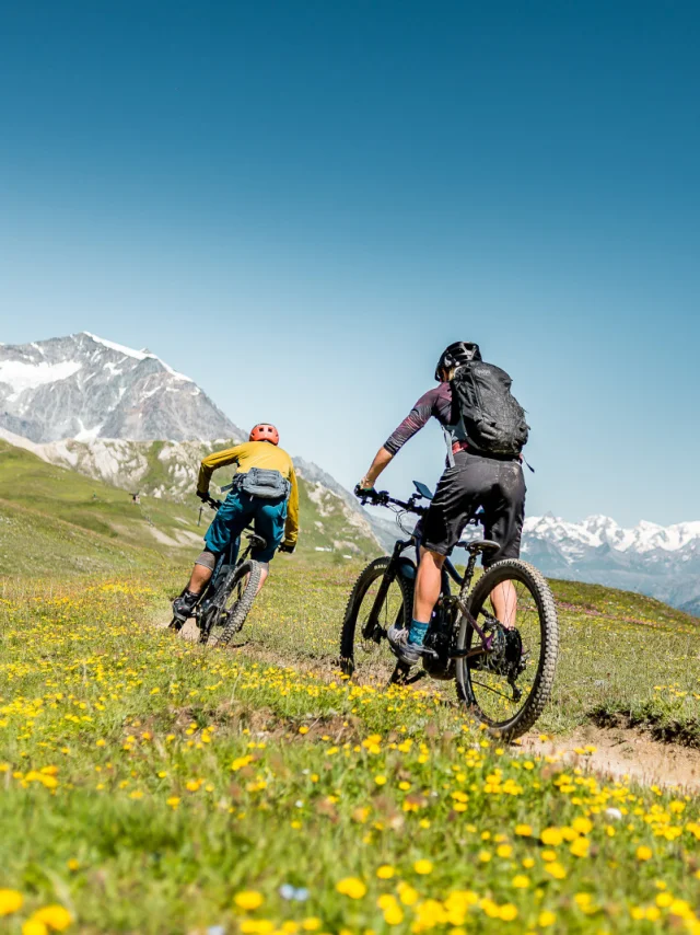 bike park; mountain; summer; bikes