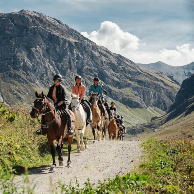 montagne, chevaux, équitation, été