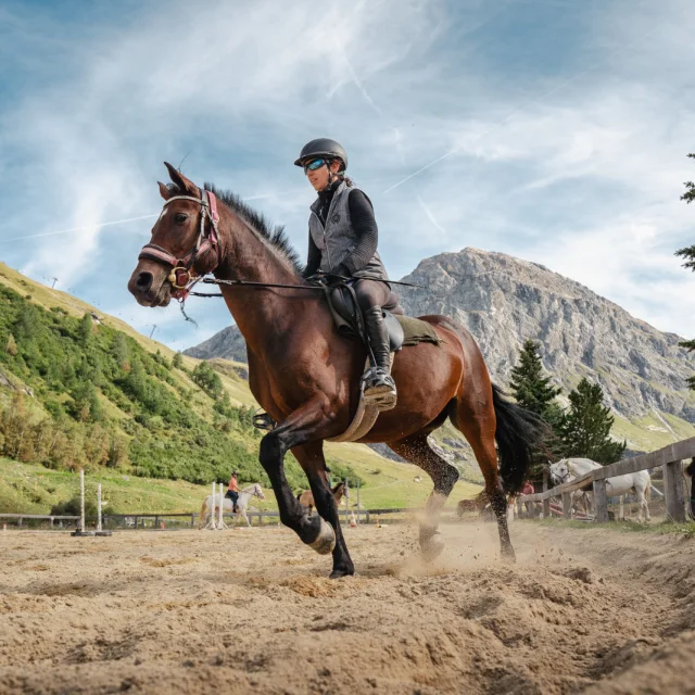 cours d'équitation; chevaux; été; activité famille;