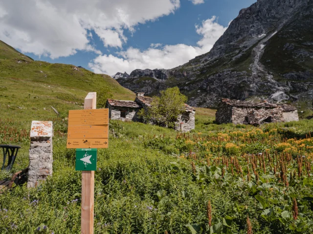 Vanoise National Park in summer