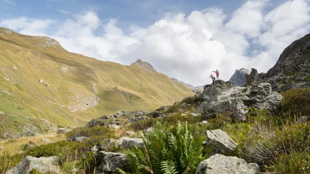 Paysage été parc de la Vanoise