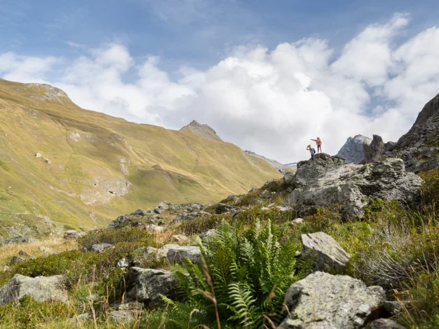 Summer landscape Vanoise park