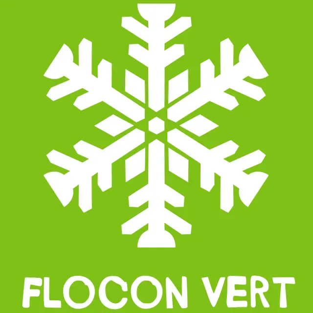 Logo Flocon Vert