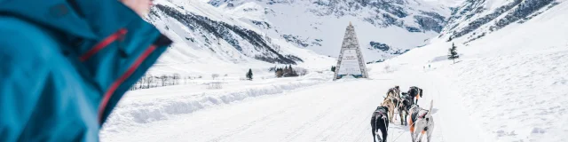 Traineau à chiens dans la vallée du Manchet à Val d'Isère