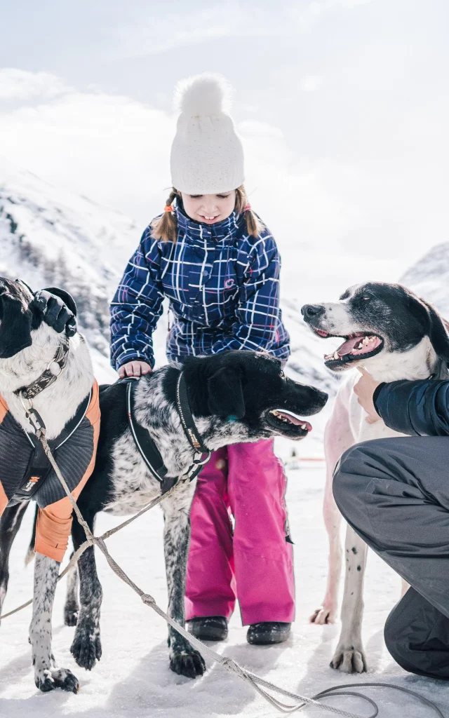 Famille avec enfants qui caresse les chiens de traineau dans la vallée du Manchet à Val d'Isère