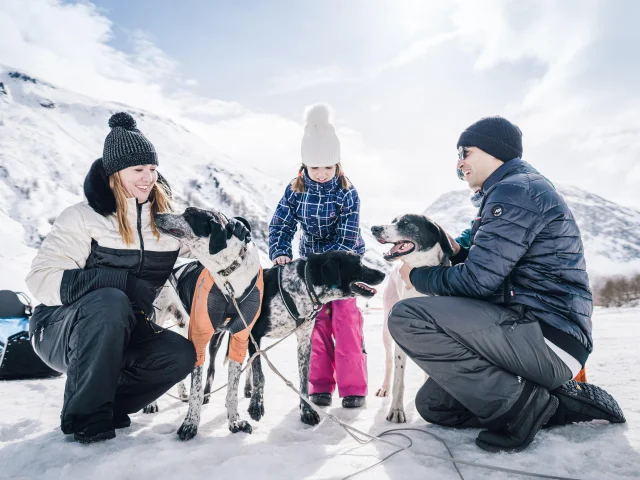 Famille avec enfants qui caresse les chiens de traineau dans la vallée du Manchet à Val d'Isère
