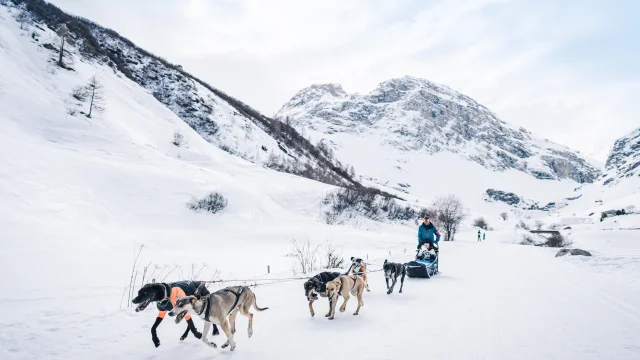 Dog sledding in the Manchet valley in Val d'Isère