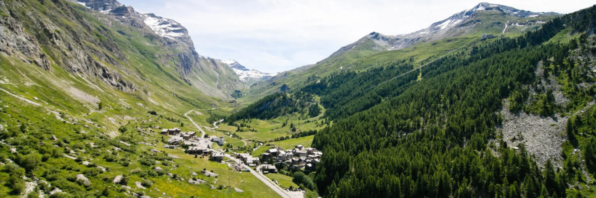 Aerial view of the village in summer