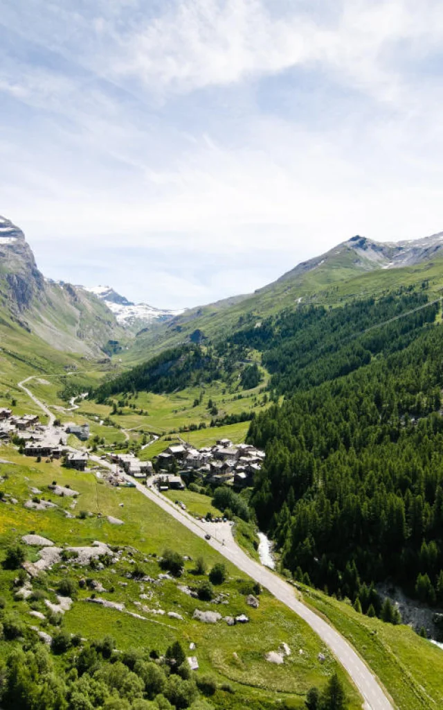 Aerial view of the village in summer