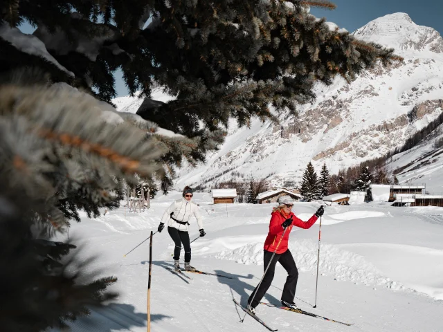 ski de fond; manchet ; endurance ; skating