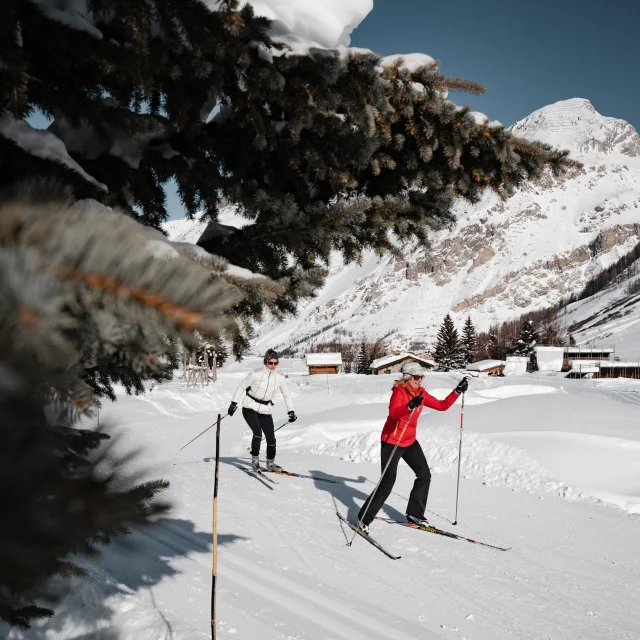 cross-country skiing; handle; endurance; skating