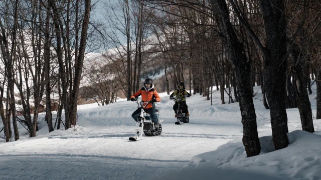 moonbike among the fir trees