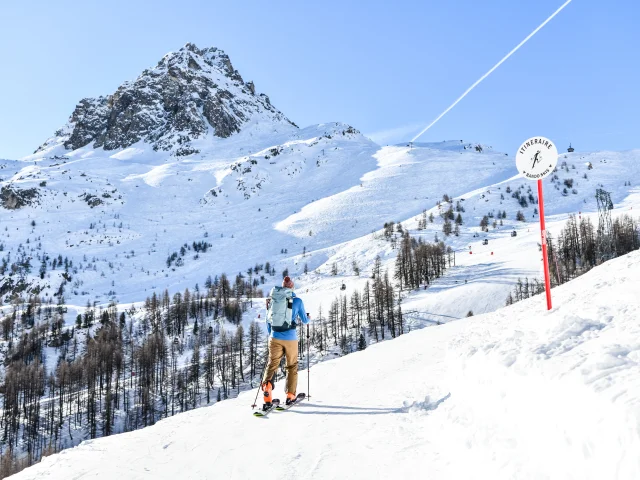 Ski de randonnés à la daille