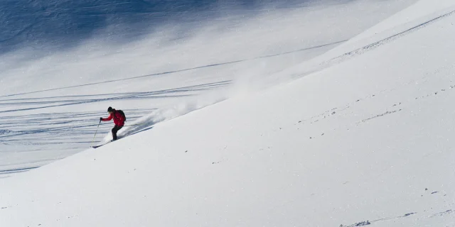 Hors piste, skieur dans la poudreuse