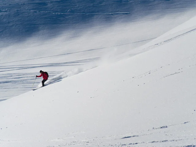 Hors piste, skieur dans la poudreuse