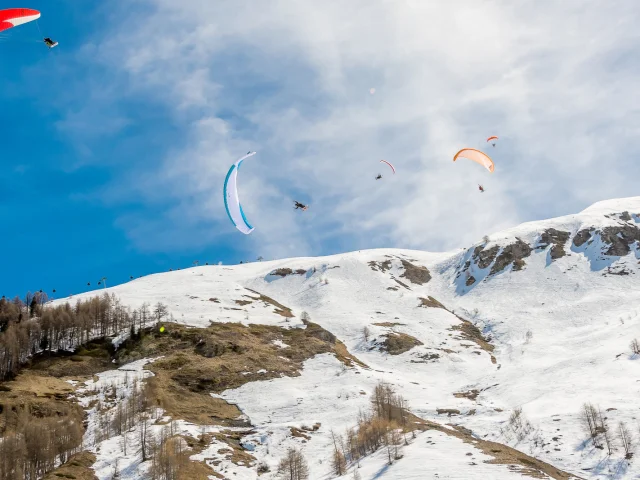 Leo's paragliding invitation