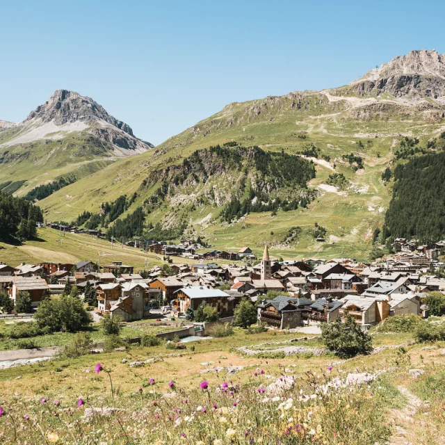 Valdisere 00004959