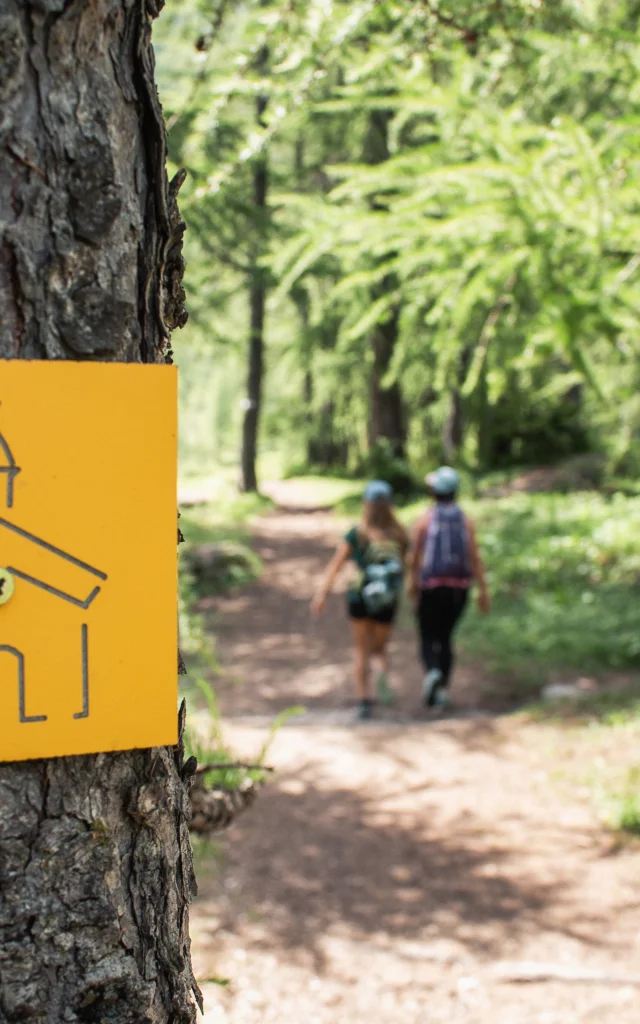 Amis sur la randonnée des 7 chapelles à Val d'Isère en été