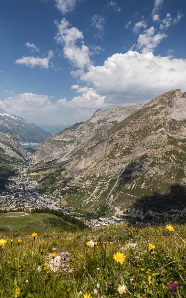 Village in summer as seen from Solaise