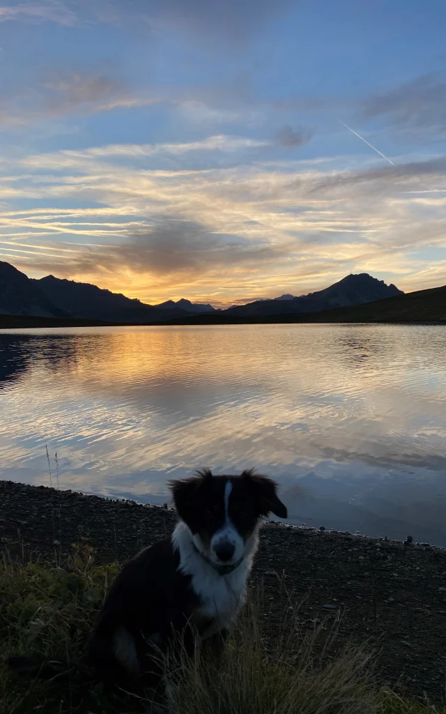 Coucher de soleil au lac de l'Ouillette avec chien