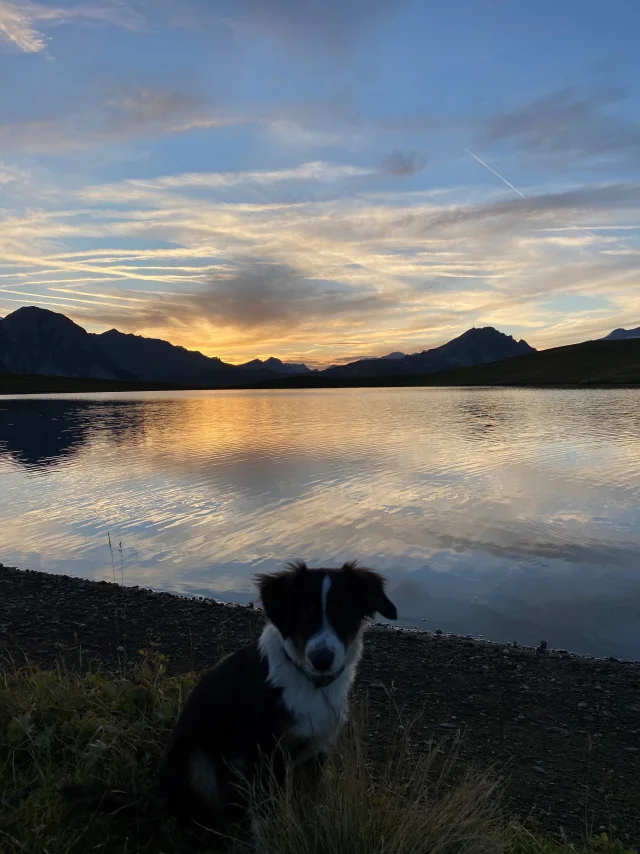 Sunset at Lake Ouillette with dog