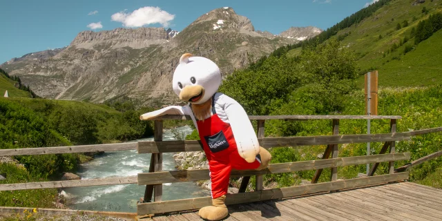 Gaston l'Aiglon summer - Vallée du Manchet