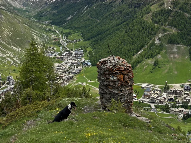 Le Cairn avec chien