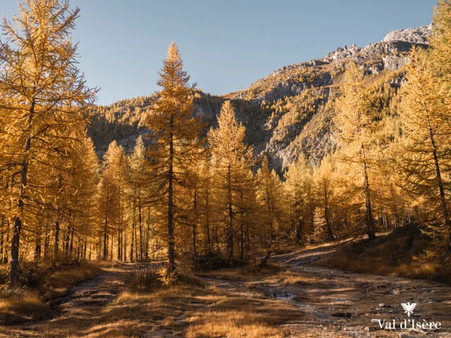 Autumn hiking