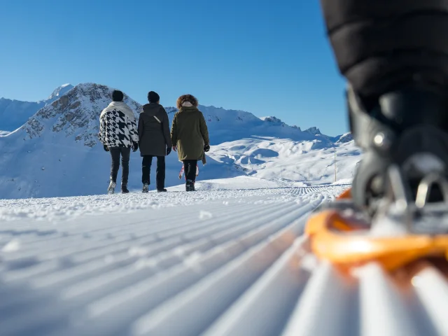 Uscita con le racchette da neve 16861