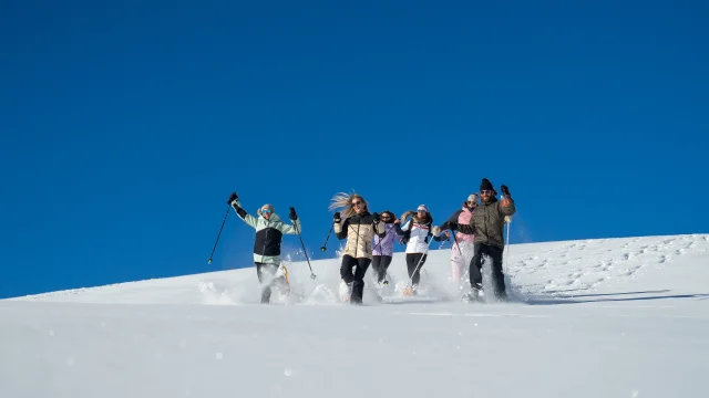 Snowshoeing 16862