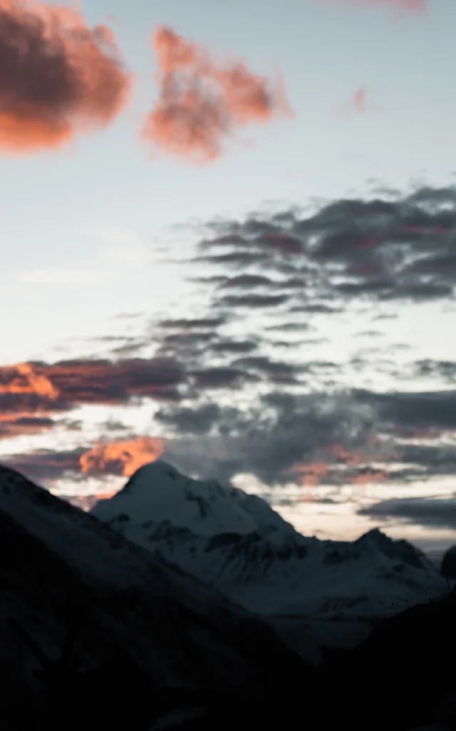 Bouquetin coucher de soleil