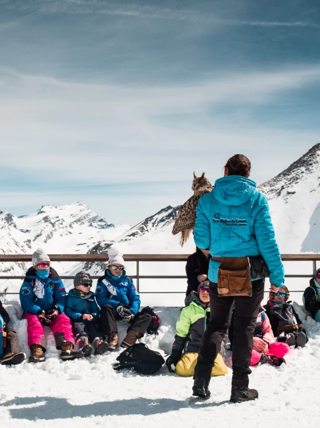 Les Aigles Du Leman in cima alla Solaise in Val d'Isère