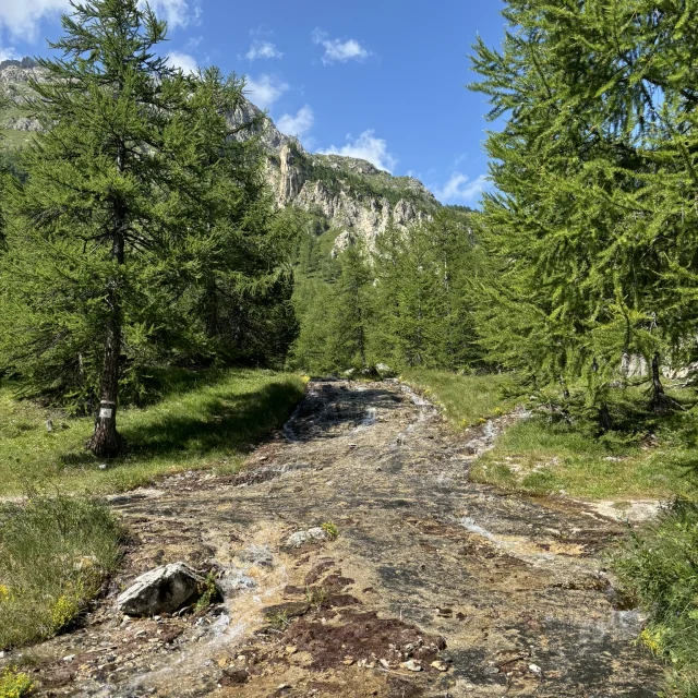 Les Sources à La Daille en été