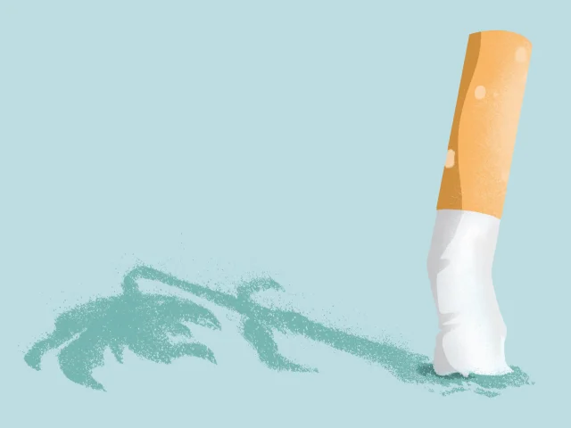 Megot Preserve Valdisere