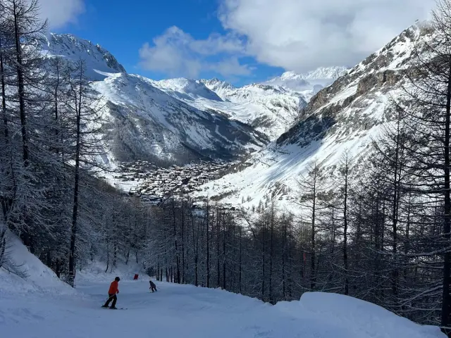 Descente en ski entre les mélèzes