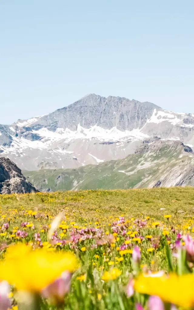 Plateau Du Lac De l'Ouillette