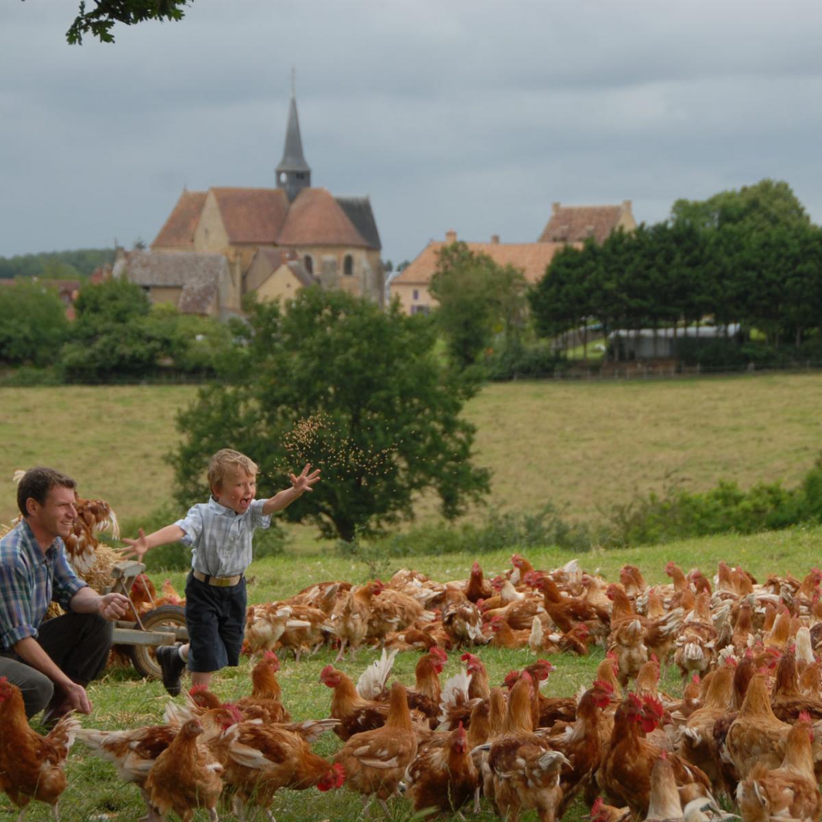 A feeling of freedom in Loué | Office de Tourisme Vallée de la Sarthe
