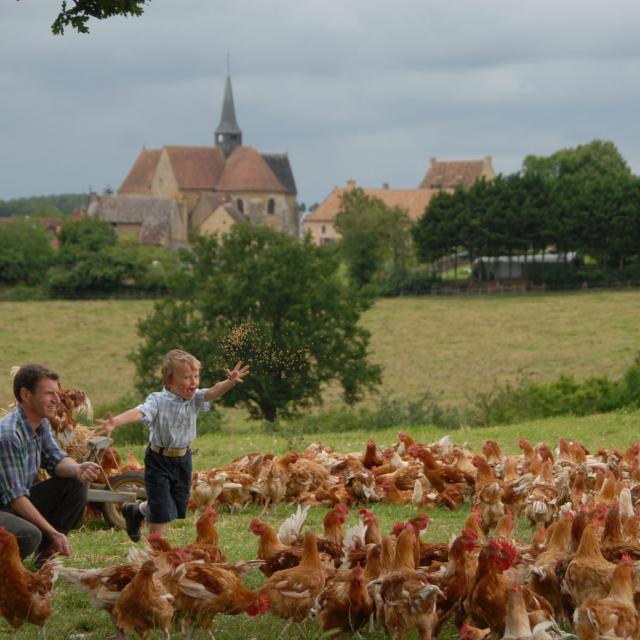 volailles-de-lou-en-libert.jpg