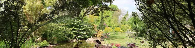 jardin-extraordinaire-sineau-precigne.jpg