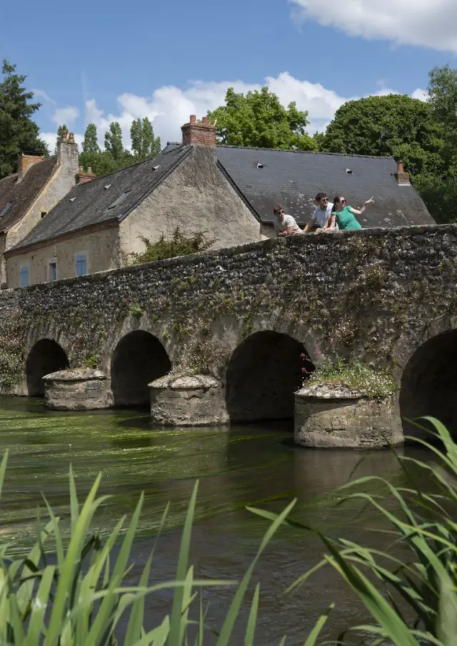 Asnières-sur-Vègre - Pont Médiéval