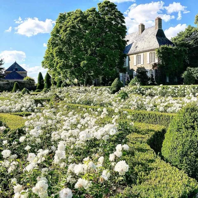 Manoir de la Massonnière - jardin