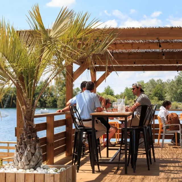 Wake Paradise