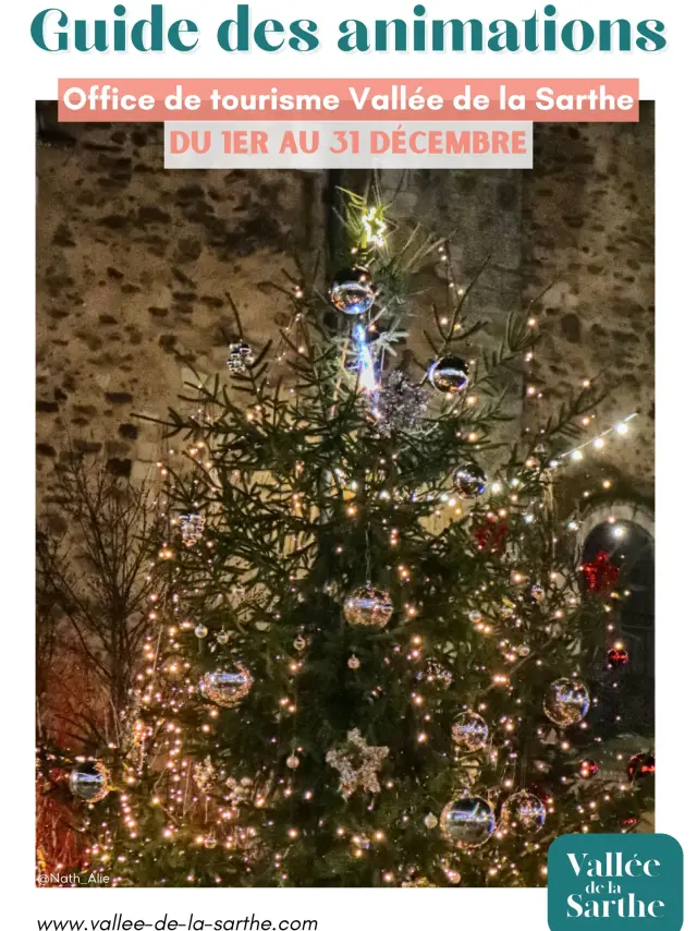 Test Guide Des Animations